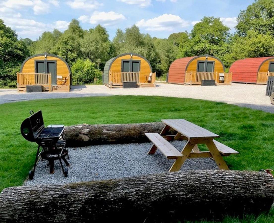 Forest Pod 4 Pet Friendly Villa Neath Eksteriør bilde
